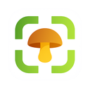 Mushroom Identifier app icon